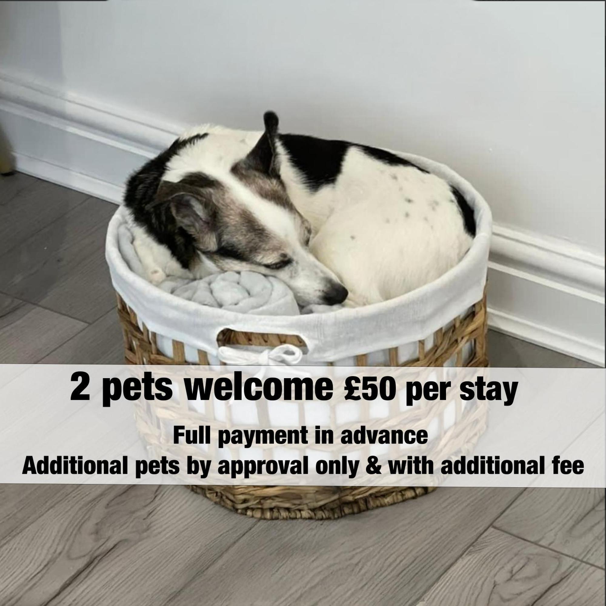 Stella's Cottage- Cute Traditional In South West By Staystaycations Bristol